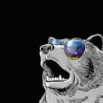 Rubicon Bear's Avatar