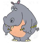 Hippo's Avatar