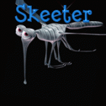 skeeter's Avatar
