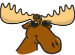 anonYmoose's Avatar