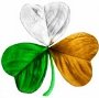 Irish Boy's Avatar